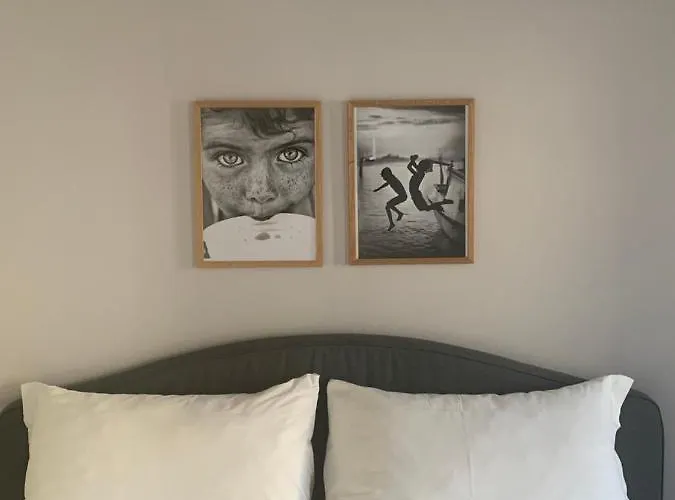 Casimiro 49 بيت ضيافة تشيزينا