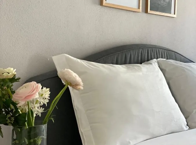 Casimiro 49 Гостевой дом 3*